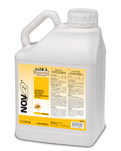 Kiwi, 3 interventi per esaltare pezzatura e qualità