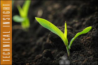 thumb_approfondim_seed_germination1