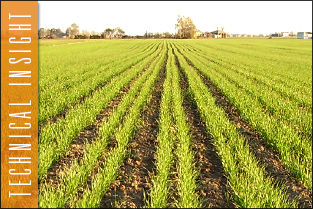 thumb_approfondim_tecnico_wheat_field-11