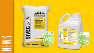 thumb_news_bev_siveg_eng1